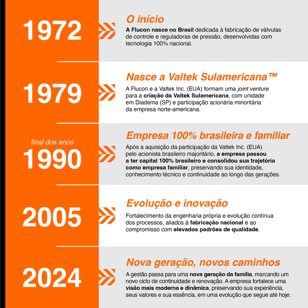 Principais marcos da história da Valtek Sulamericana, desde sua origem em 1972.
